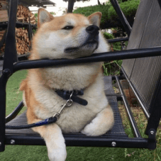 9f0363dafa65b6ec19ebce5cb07f5560.gif