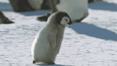 e5dc02efcfbb715078bf2c98cad5e2eb.gif
