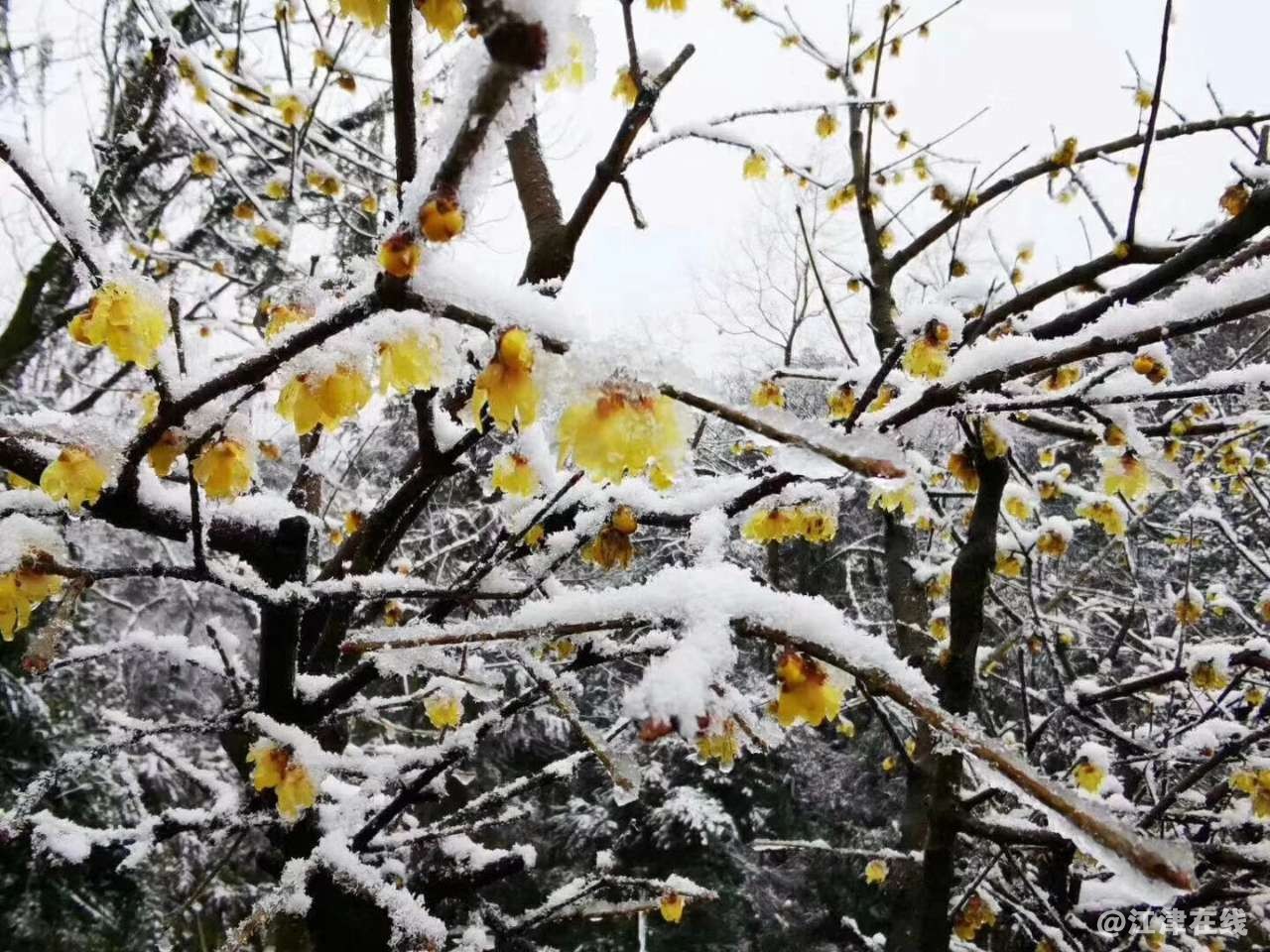 20200216_42191_1581783088511.jpg