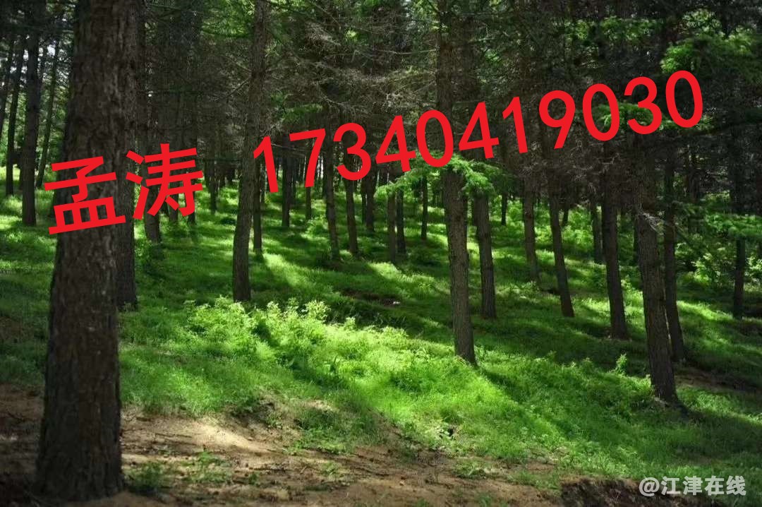 微信图片_2020030414242121.jpg