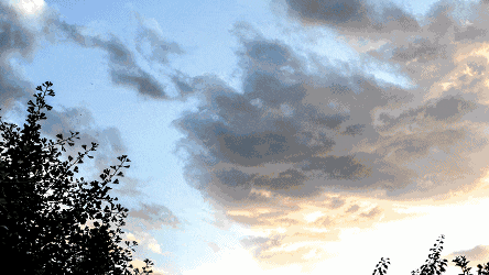 ad551b7fff7c4a6130ad57d80d8c452e.gif