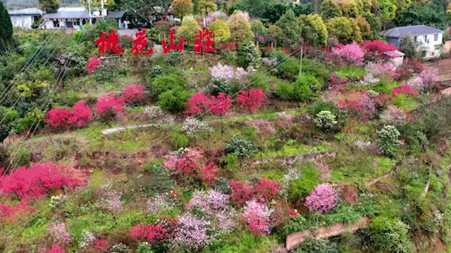 782a856355e4b790a7b3c5609473f885.gif