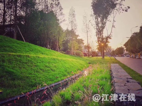 B79FDD9D-338F-4CC6-8C70-3F10949424A9.jpeg