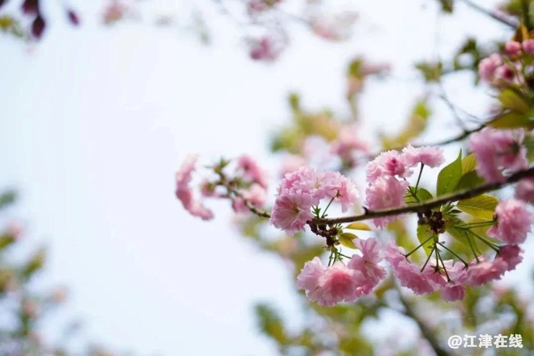 6875b7ae97644a606247ad955a34cce1.jpg