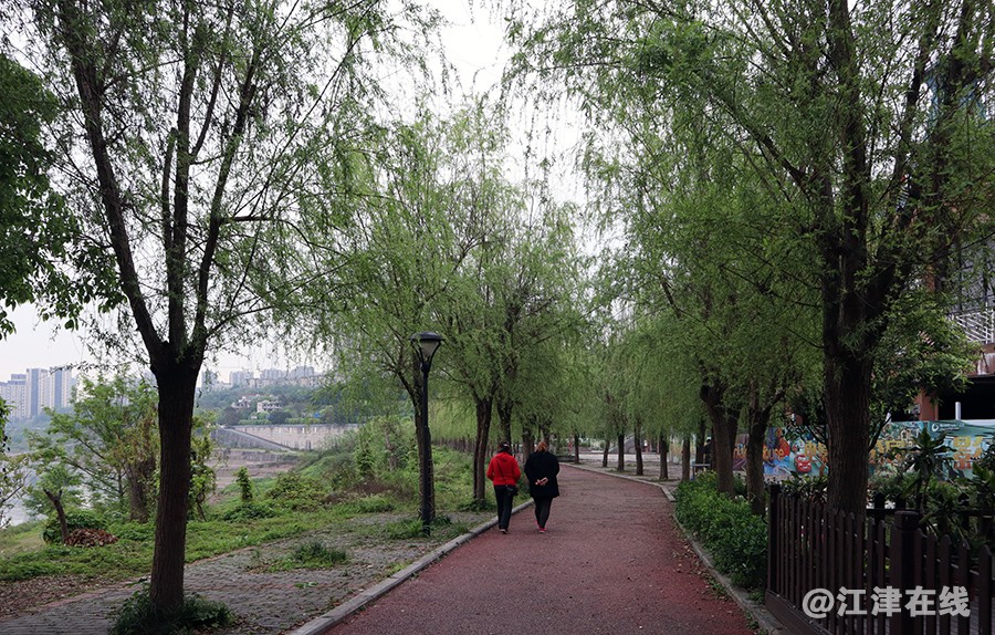 巴滨路 (11).jpg