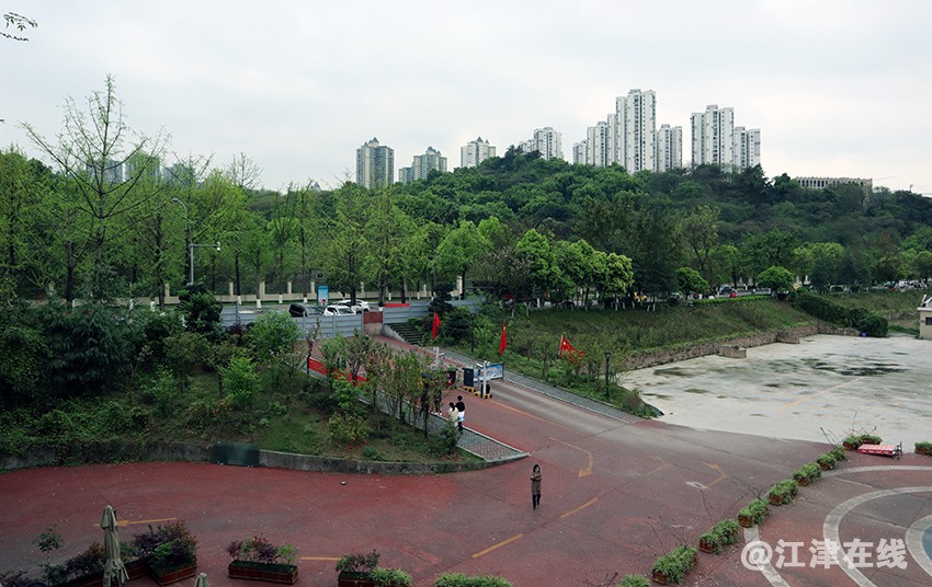 巴滨路 (14).jpg
