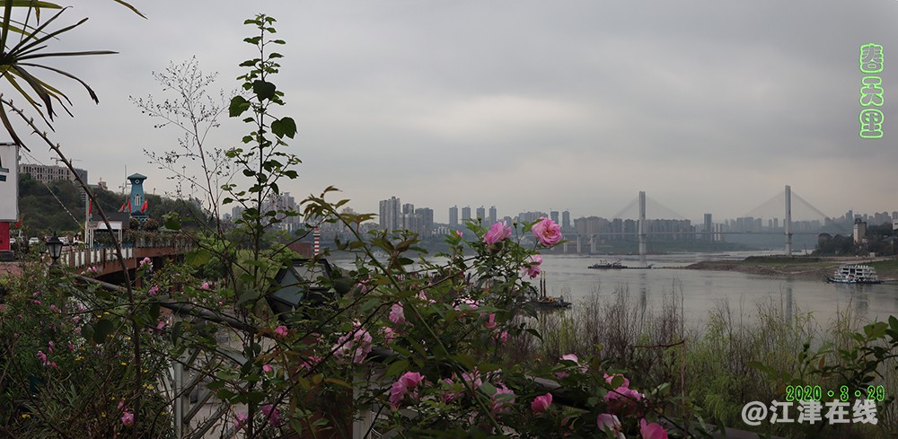 巴滨路 (18).jpg