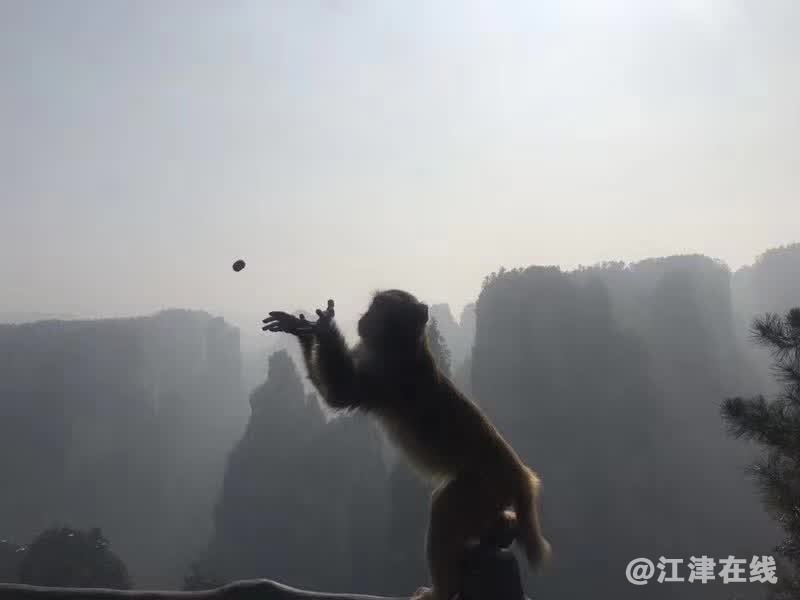 QQ图片20200404130913.jpg