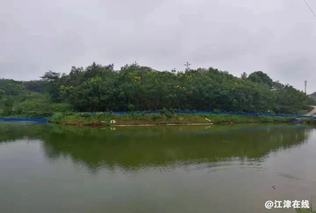 f7dca51c74e62293bfa41dbd54cf31af.jpg