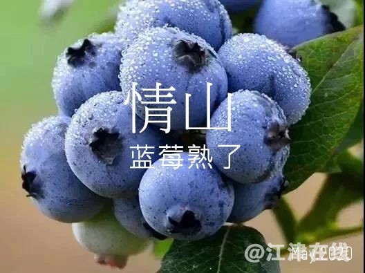 93a57a9b54f39fc199cf11d8075860db.jpg
