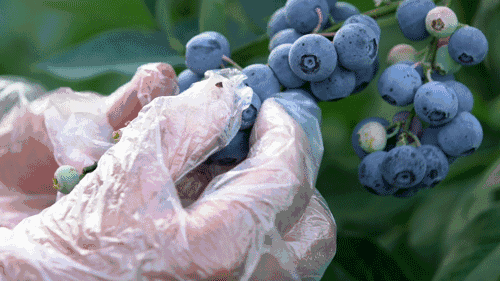 c146da84fd605ab2729637146e1a06c5.gif