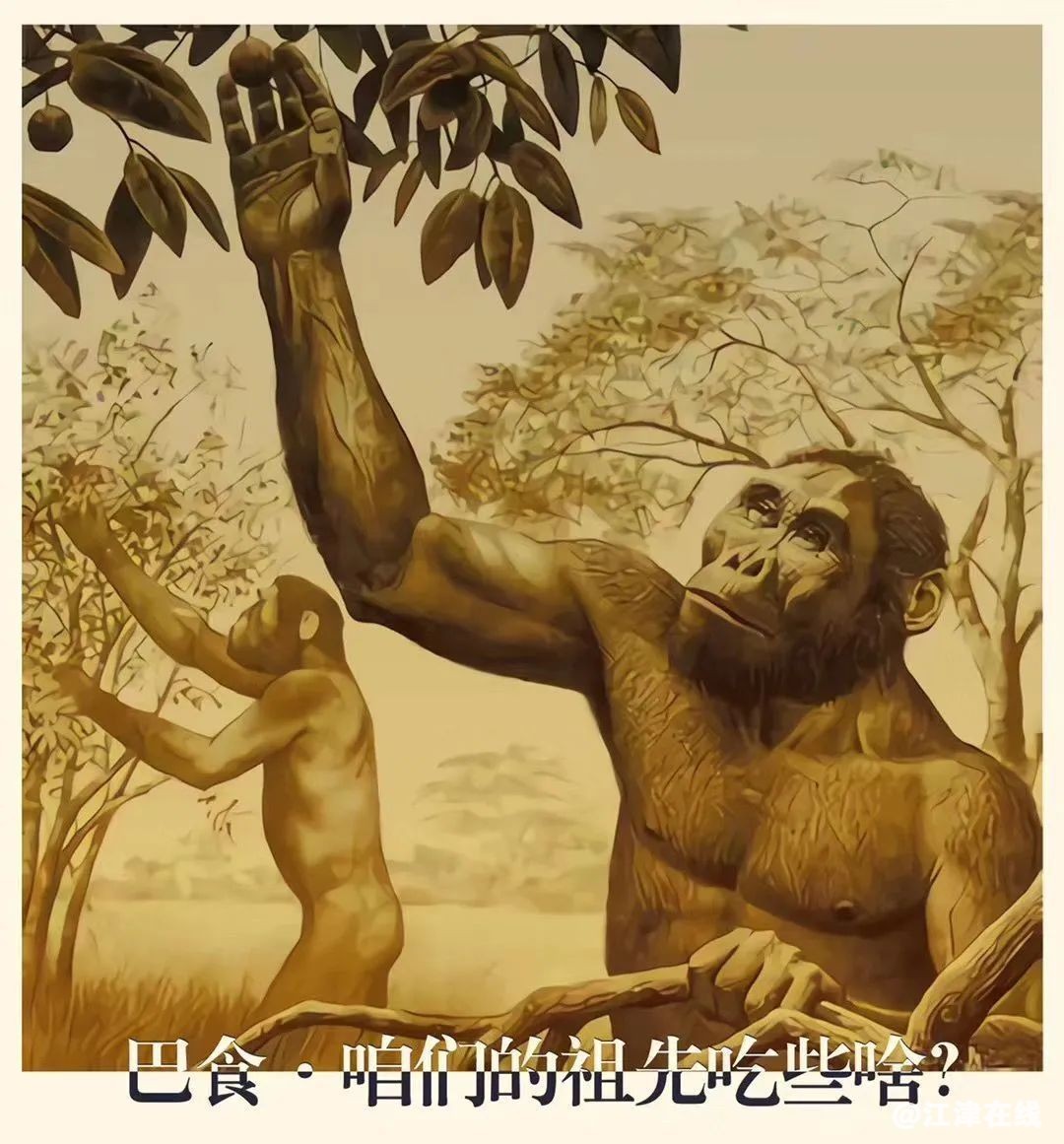 bce122bfe8e41d35c5b1aecd7dfcb145.jpg