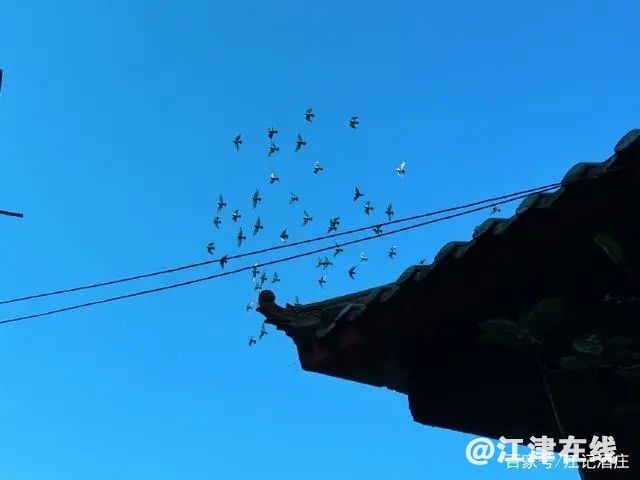 b6f6260361d63911c1717ae3b7bd484e.jpg