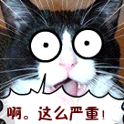 6db6035c4ffef4db833b21fb5bc4083e.gif