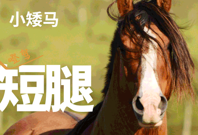 328c6106a7ff19843188b3299652709d.gif