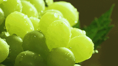 9286cd010a75db86f1df1955b7d6bde7.gif