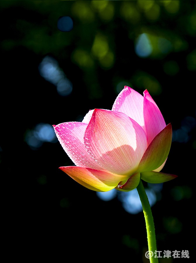 IMG_2815副本副本.jpg