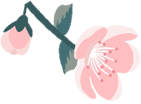 06970871dcb7ef9133c0ba40af9fa3cf.png