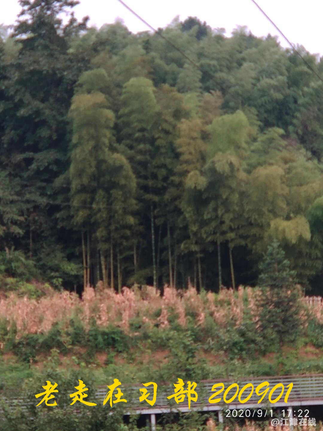 JYZ 20200901 WYB (150).jpg