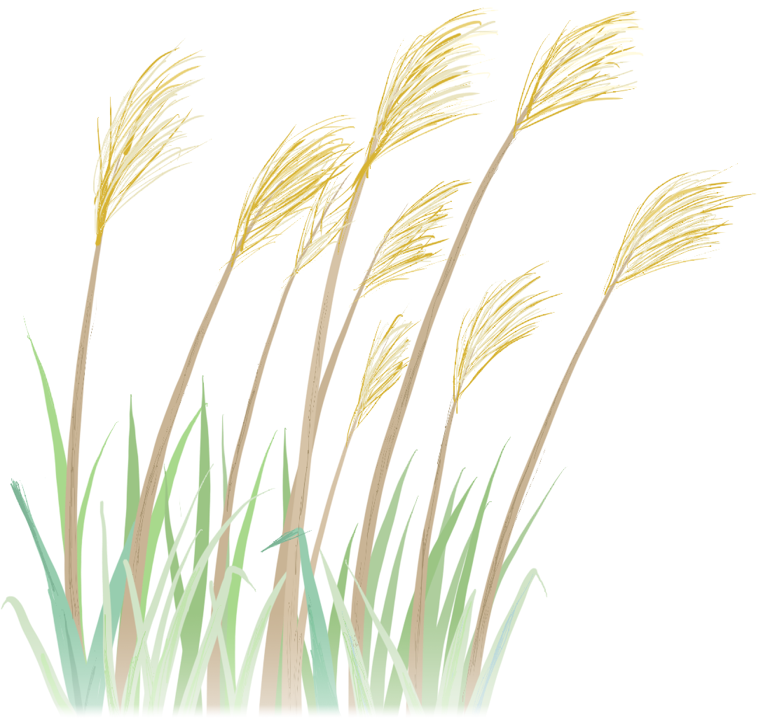 86cb617520af358f88646a3a45f5fa62.png