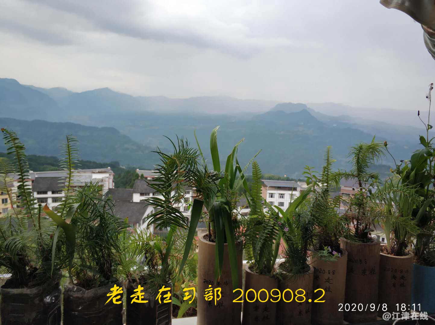 JYZ 200908.2 WYB (27).jpg