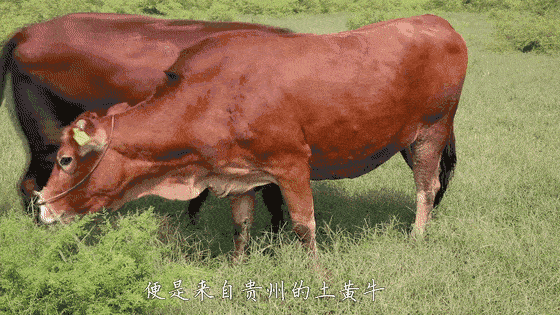 4b346696af86762287be4e5de34ea580.gif