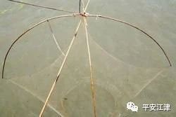 e01d376852941516559ca0625cfb2686.jpg