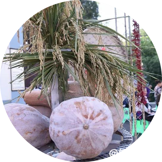 0bc138f671e3e2041585d08de0e28b25.png