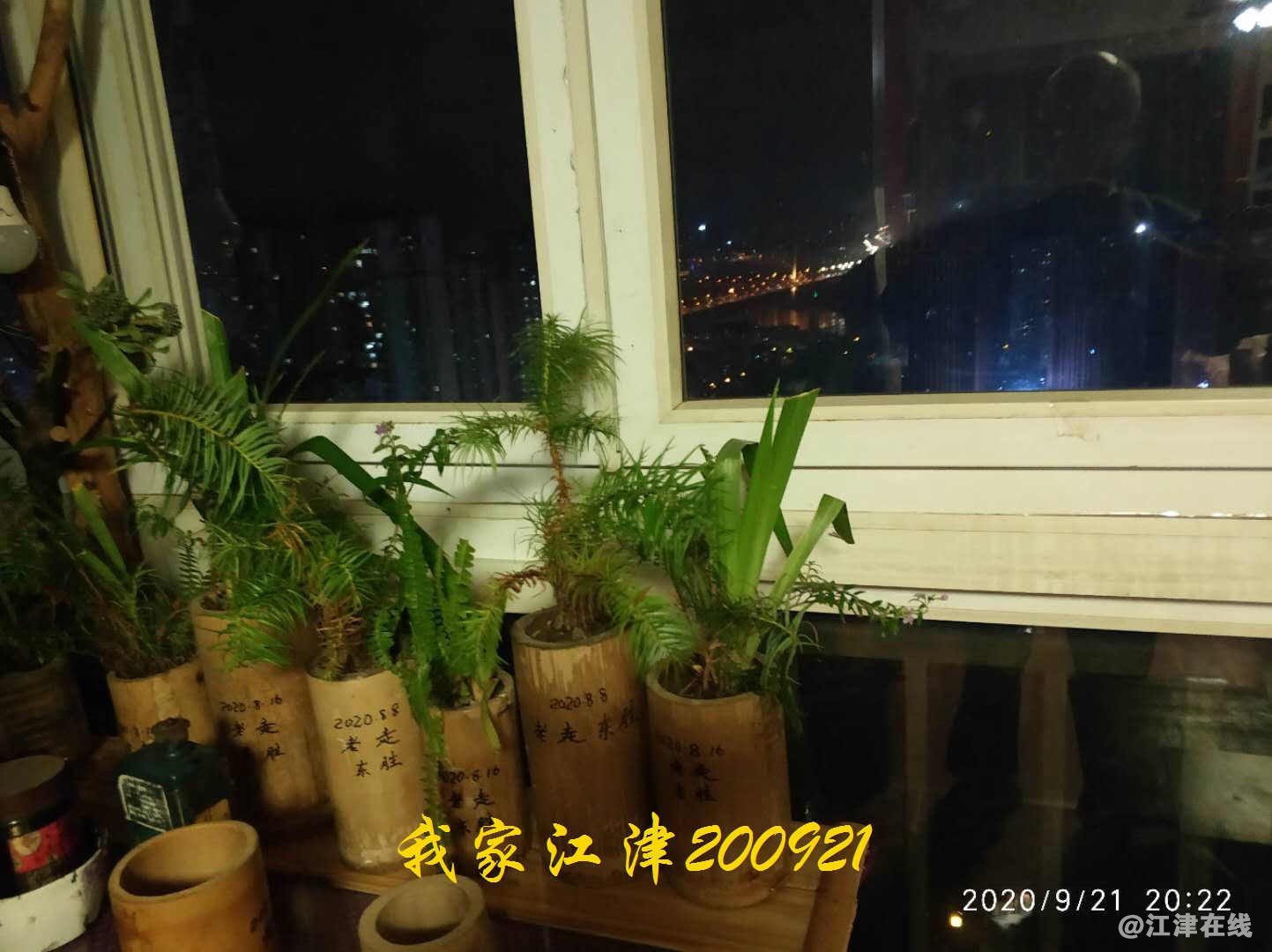 JYZ 20200921 WYB (1).jpg