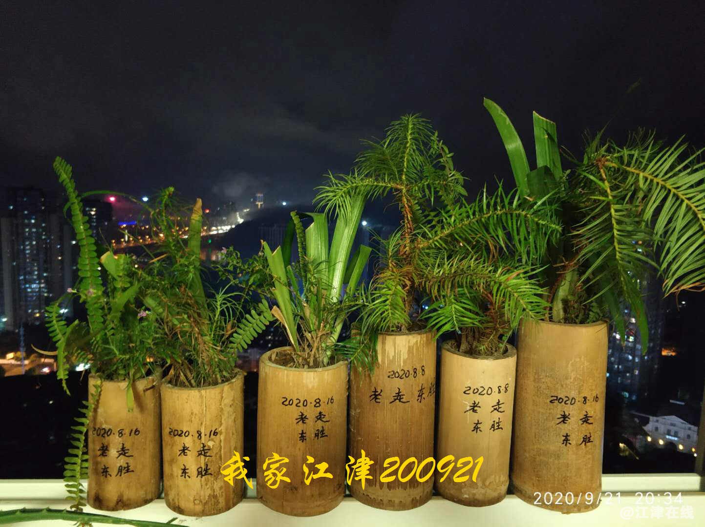 JYZ 20200921 WYB (8).jpg