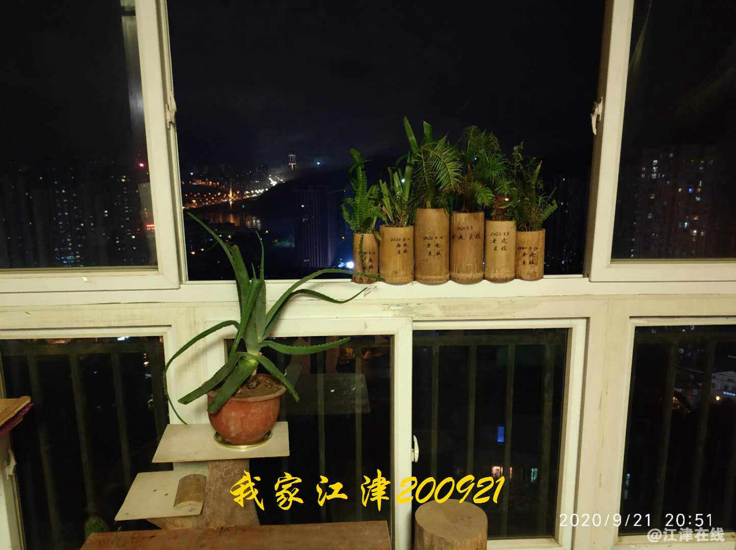 JYZ 20200921 WYB (23).jpg