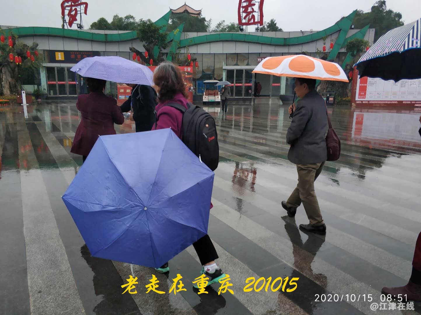 JYZ 20201015 WYB (27).jpg