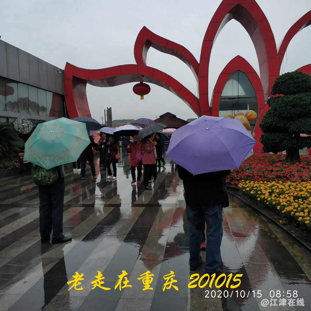JYZ 20201015 WYB (44).jpg