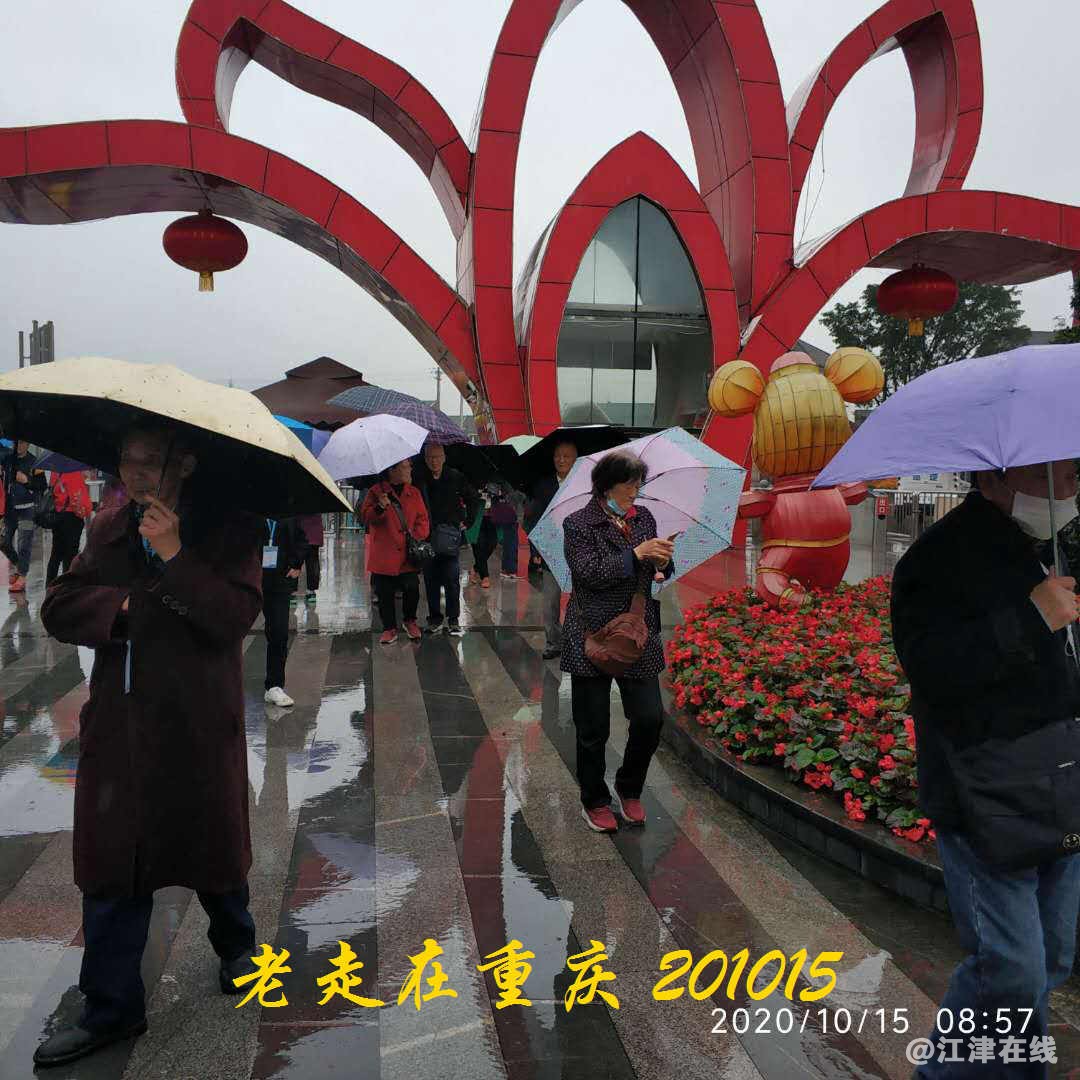 JYZ 20201015 WYB (45).jpg