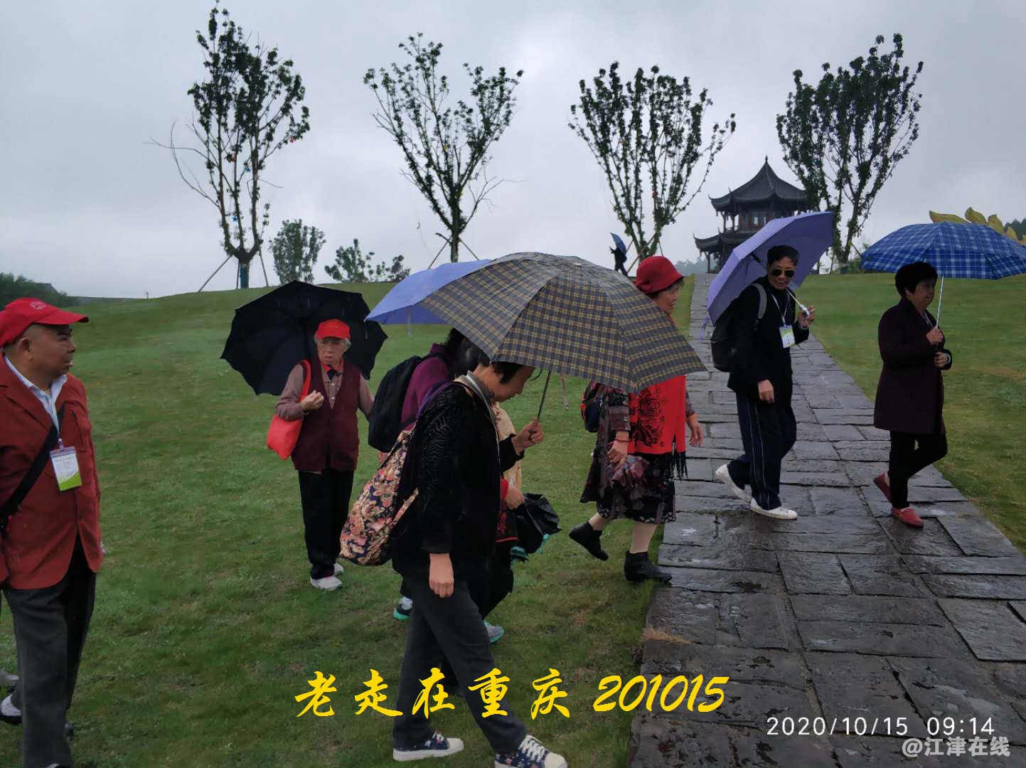 JYZ 20201015 WYB (78).jpg
