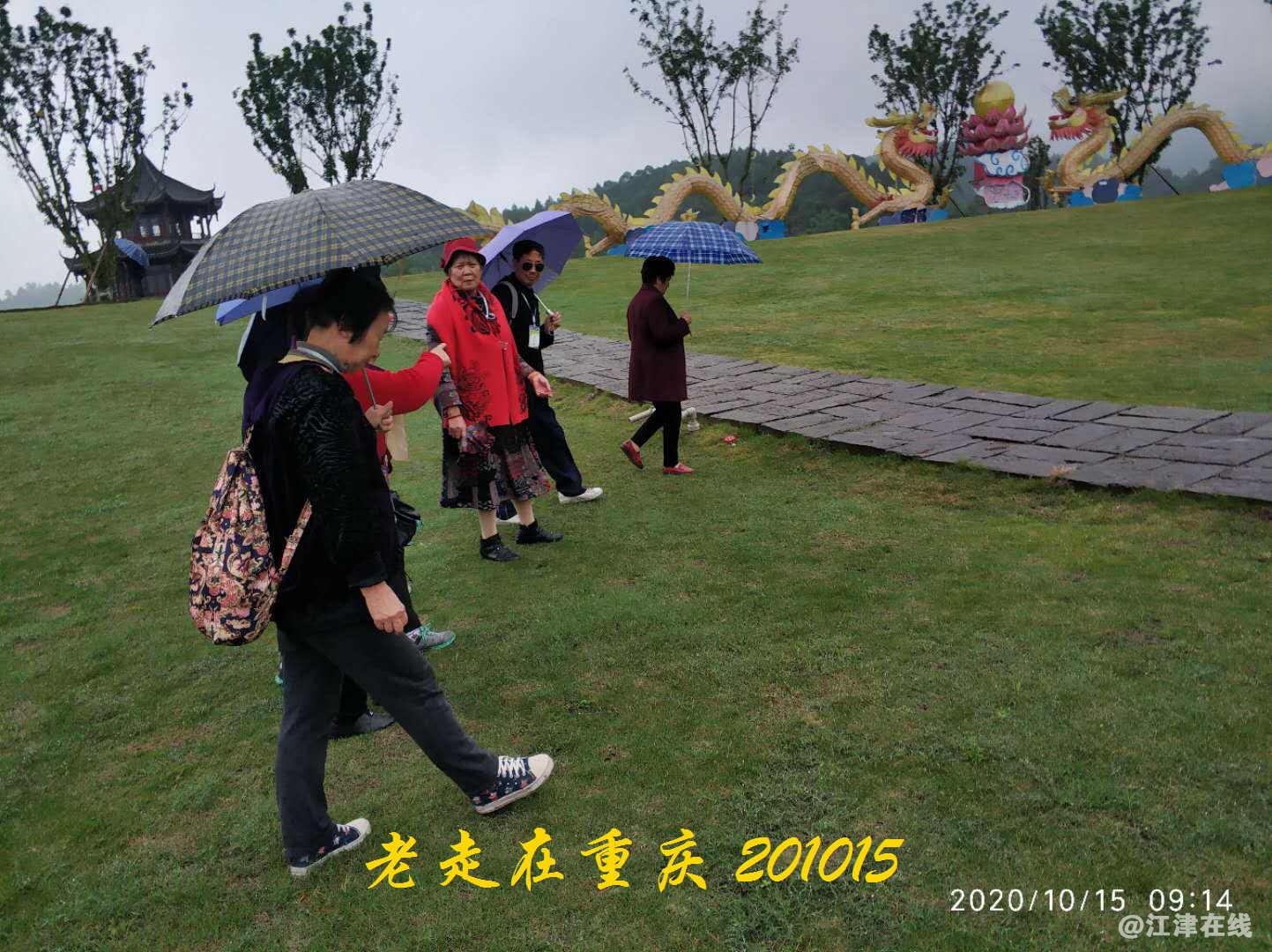 JYZ 20201015 WYB (82).jpg