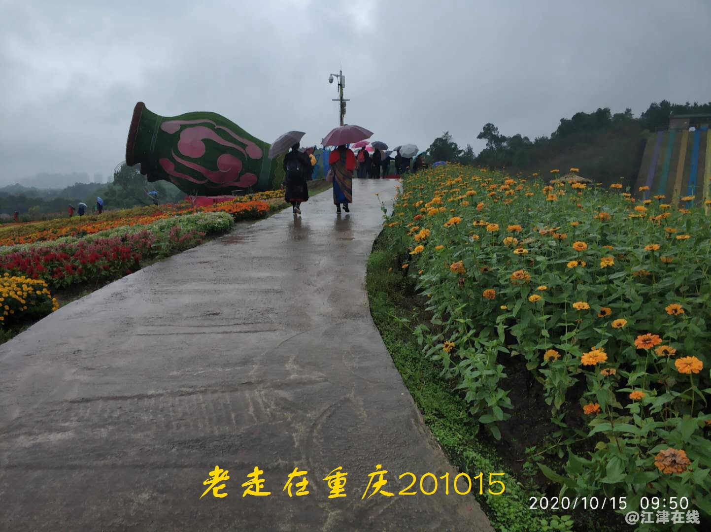 JYZ 20201015 WYB (142).jpg