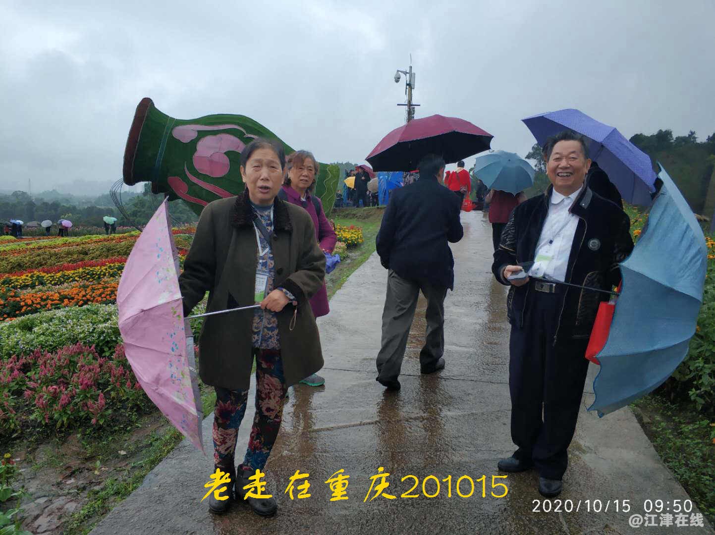 JYZ 20201015 WYB (152).jpg