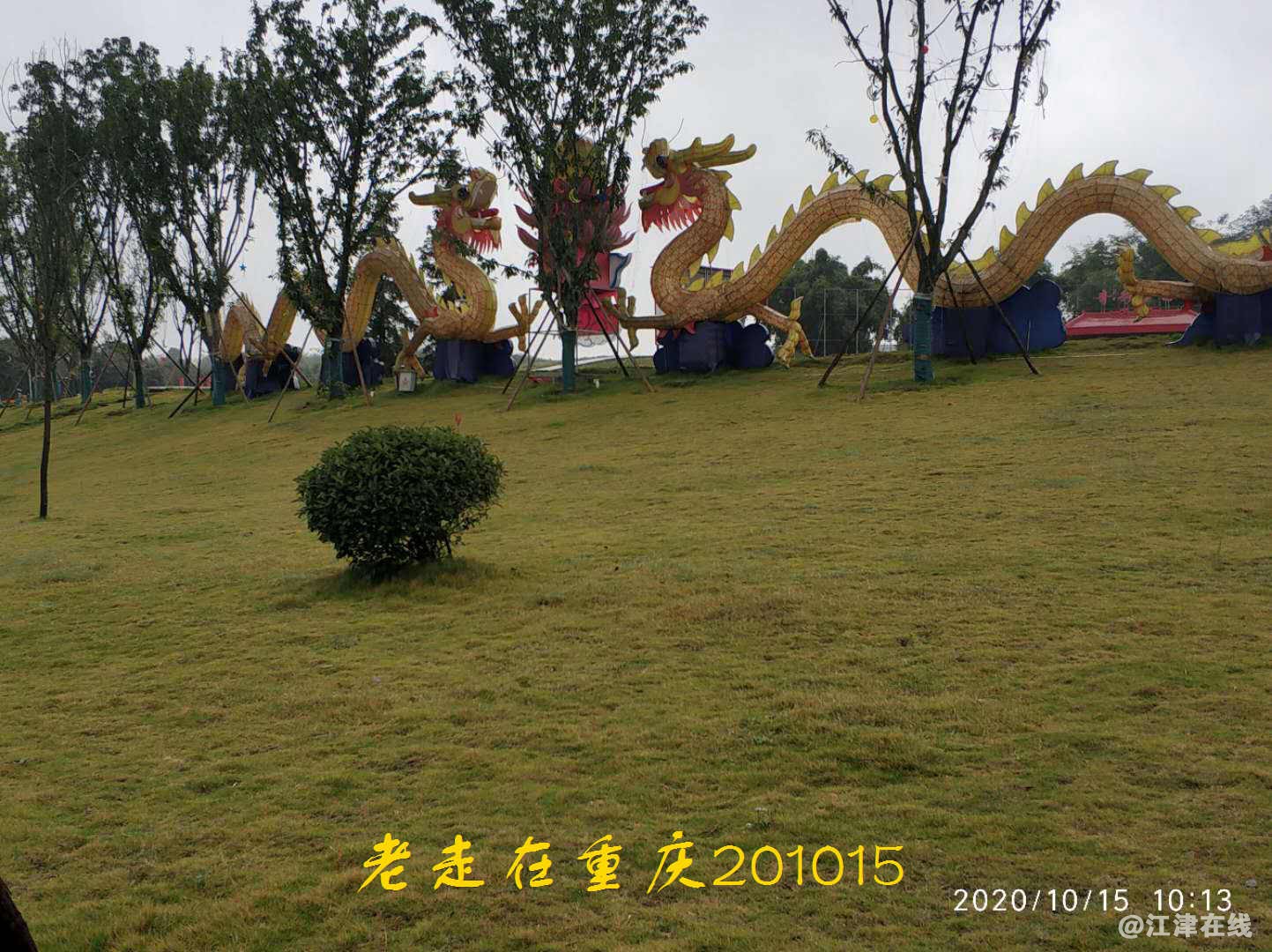 JYZ 20201015 WYB (198).jpg