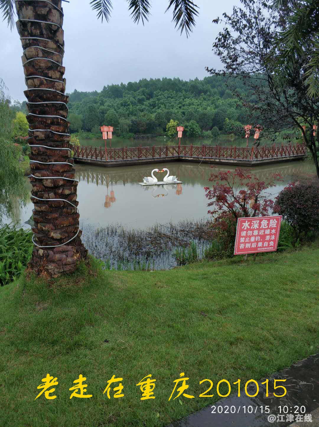 JYZ 20201015 WYB (217).jpg