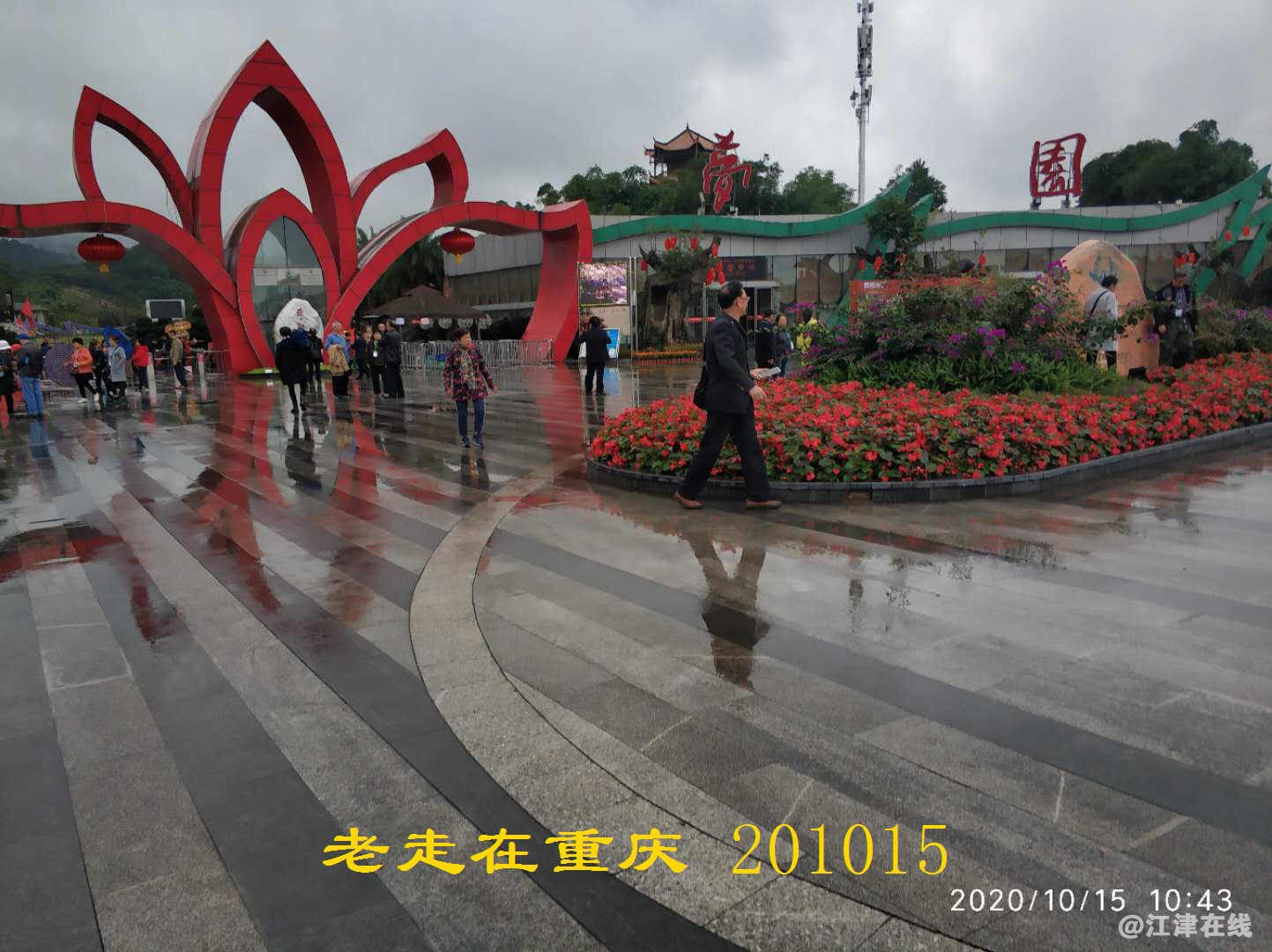 JYZ 20201015 WYB (271).jpg