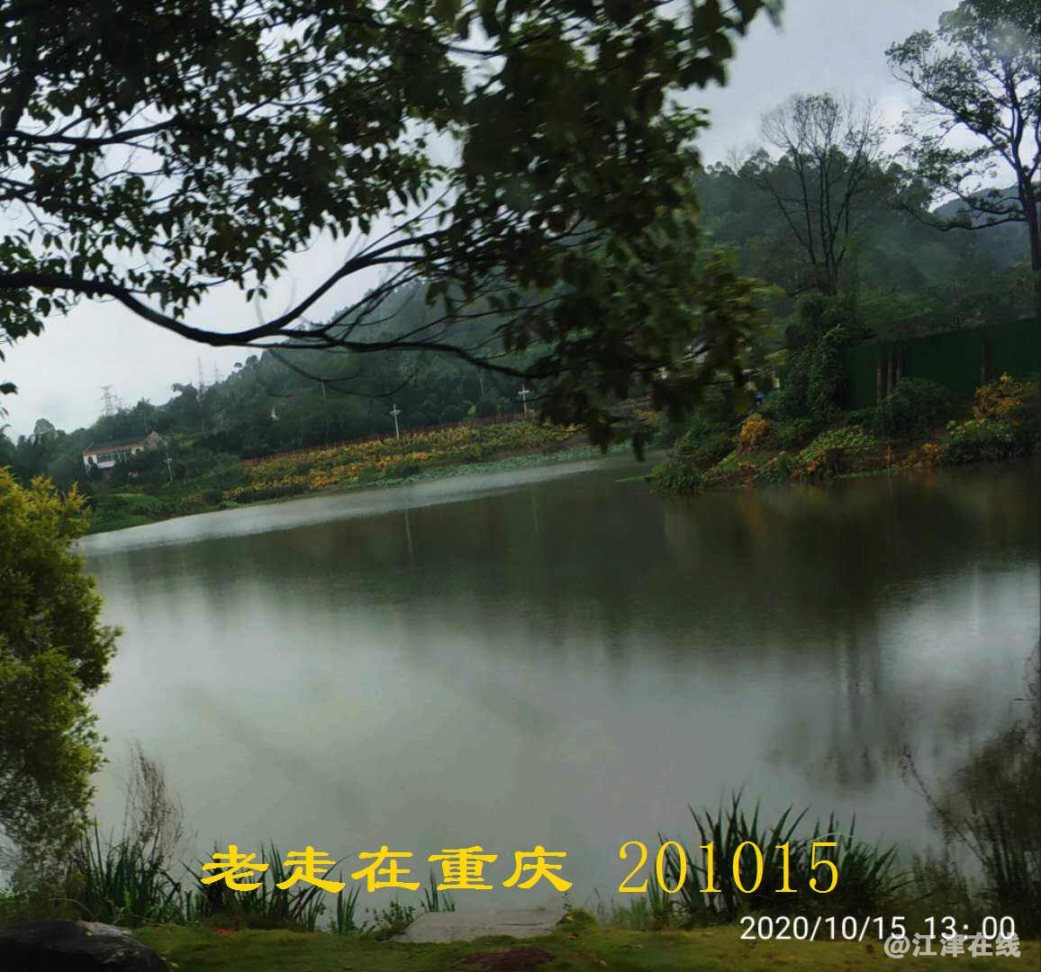 JYZ 20201015 WYB (307).jpg