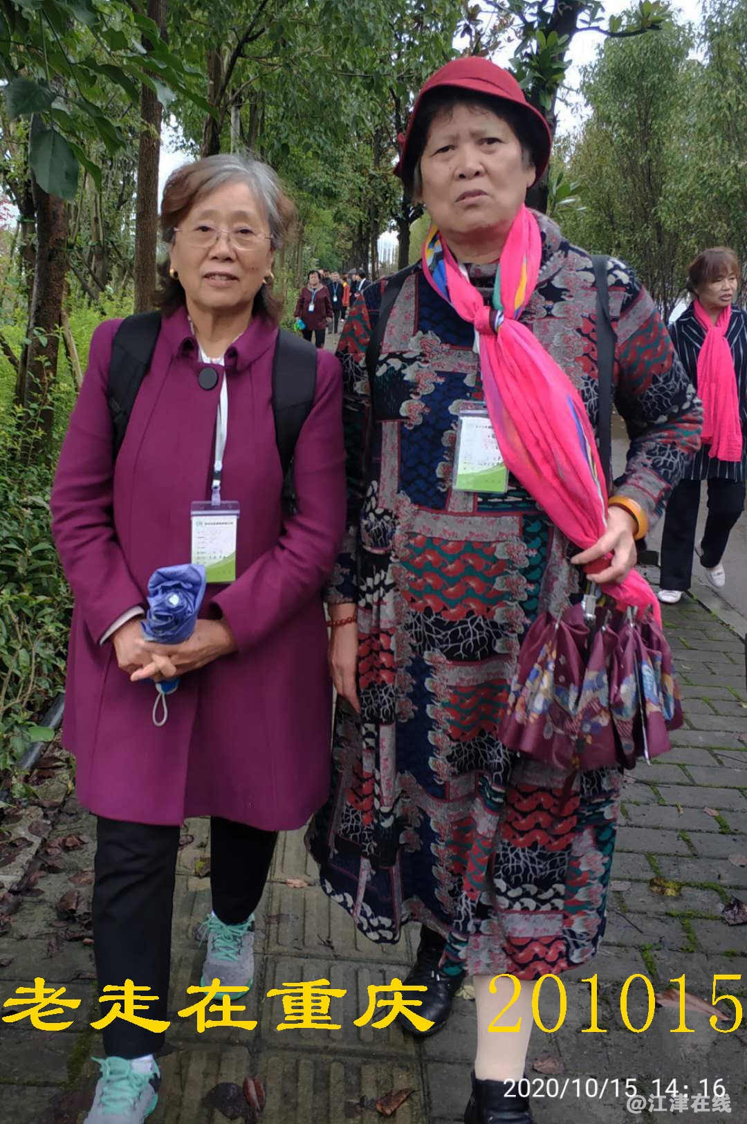 JYZ 20201015 WYB (394).jpg