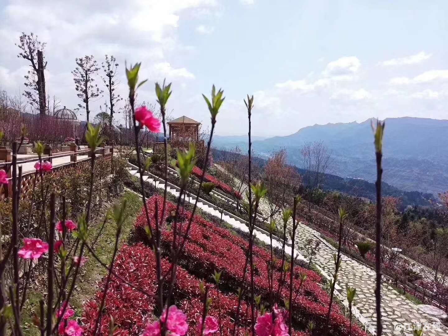 微信图片_20201103134304.jpg