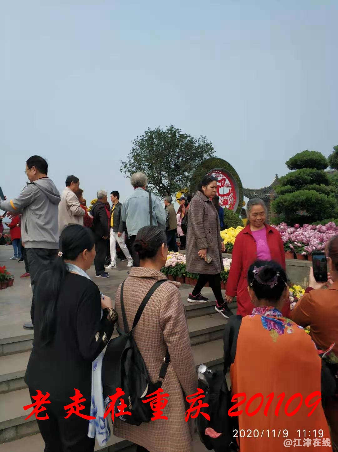 JYZ 20201109 WYB (19).jpg
