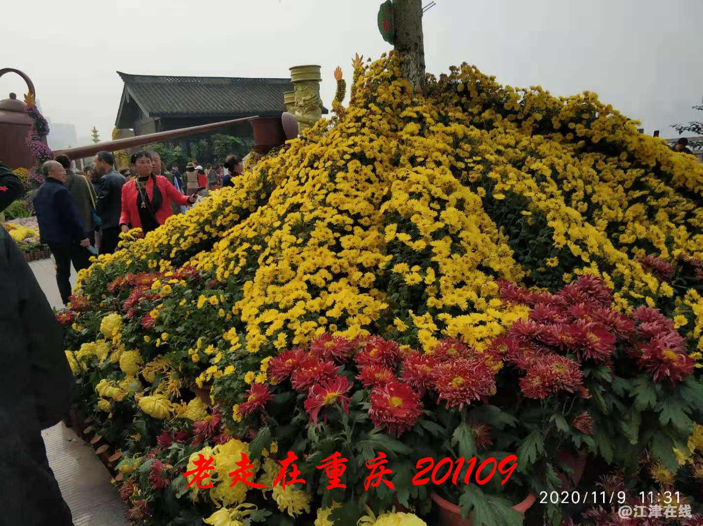 JYZ 20201109 WYB (60).jpg