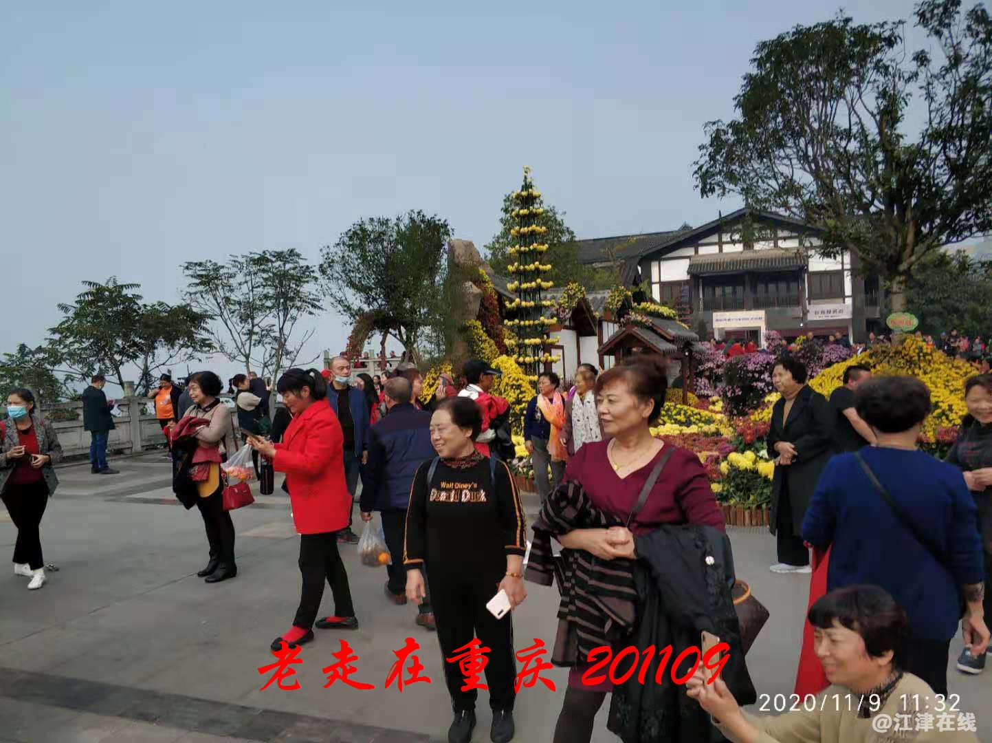 JYZ 20201109 WYB (65).jpg