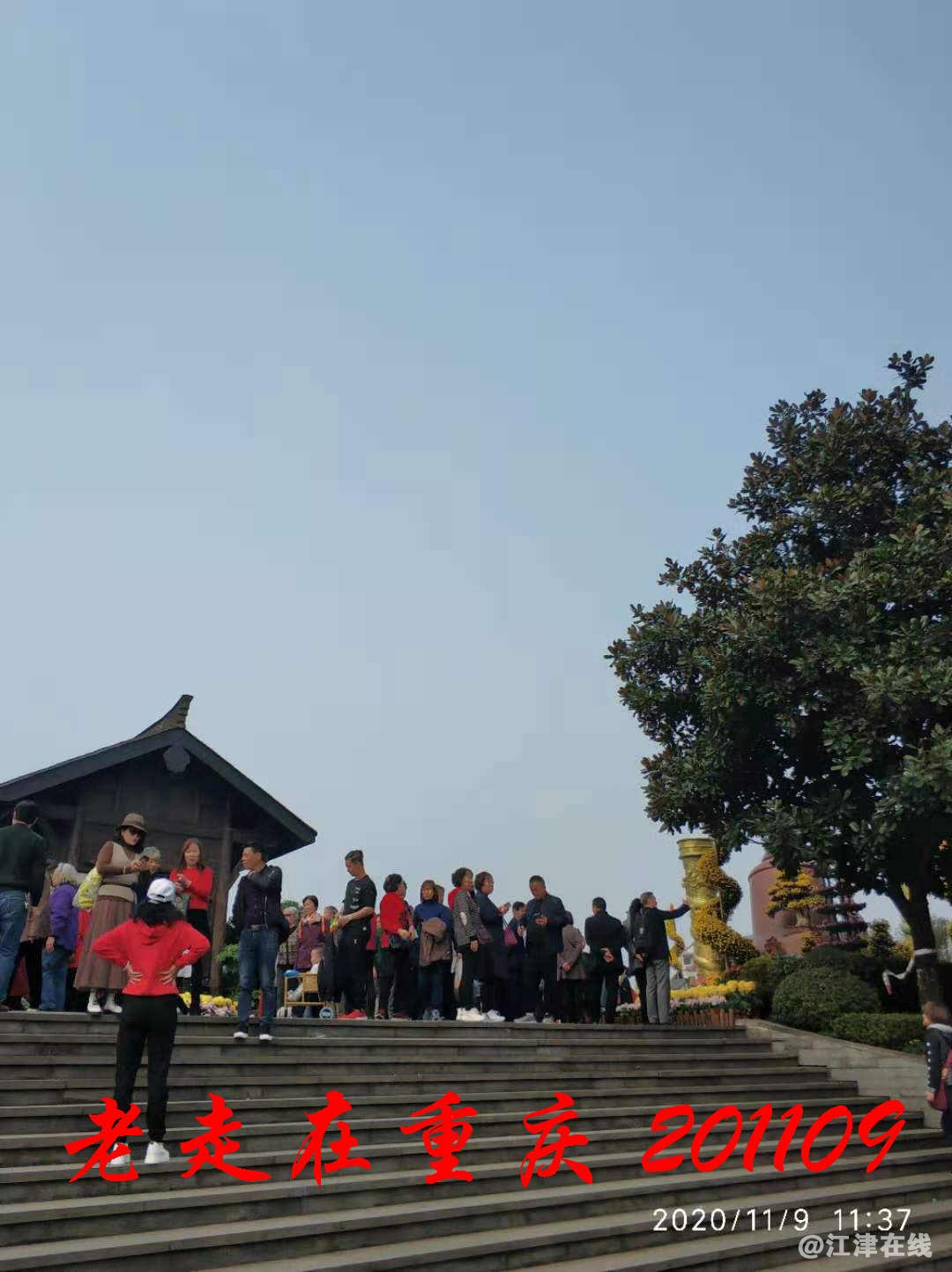 JYZ 20201109 WYB (72).jpg