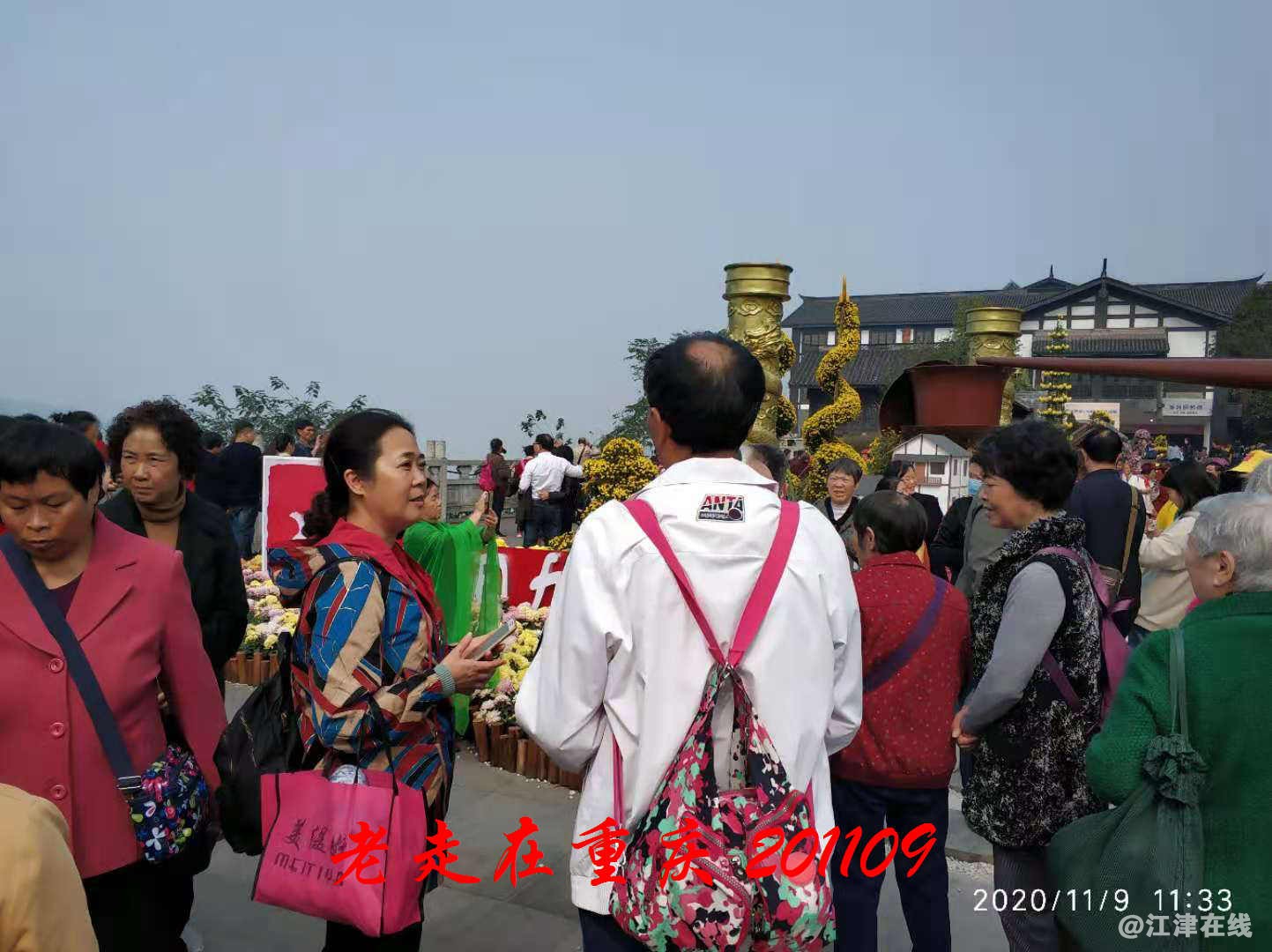 JYZ 20201109 WYB (77).jpg