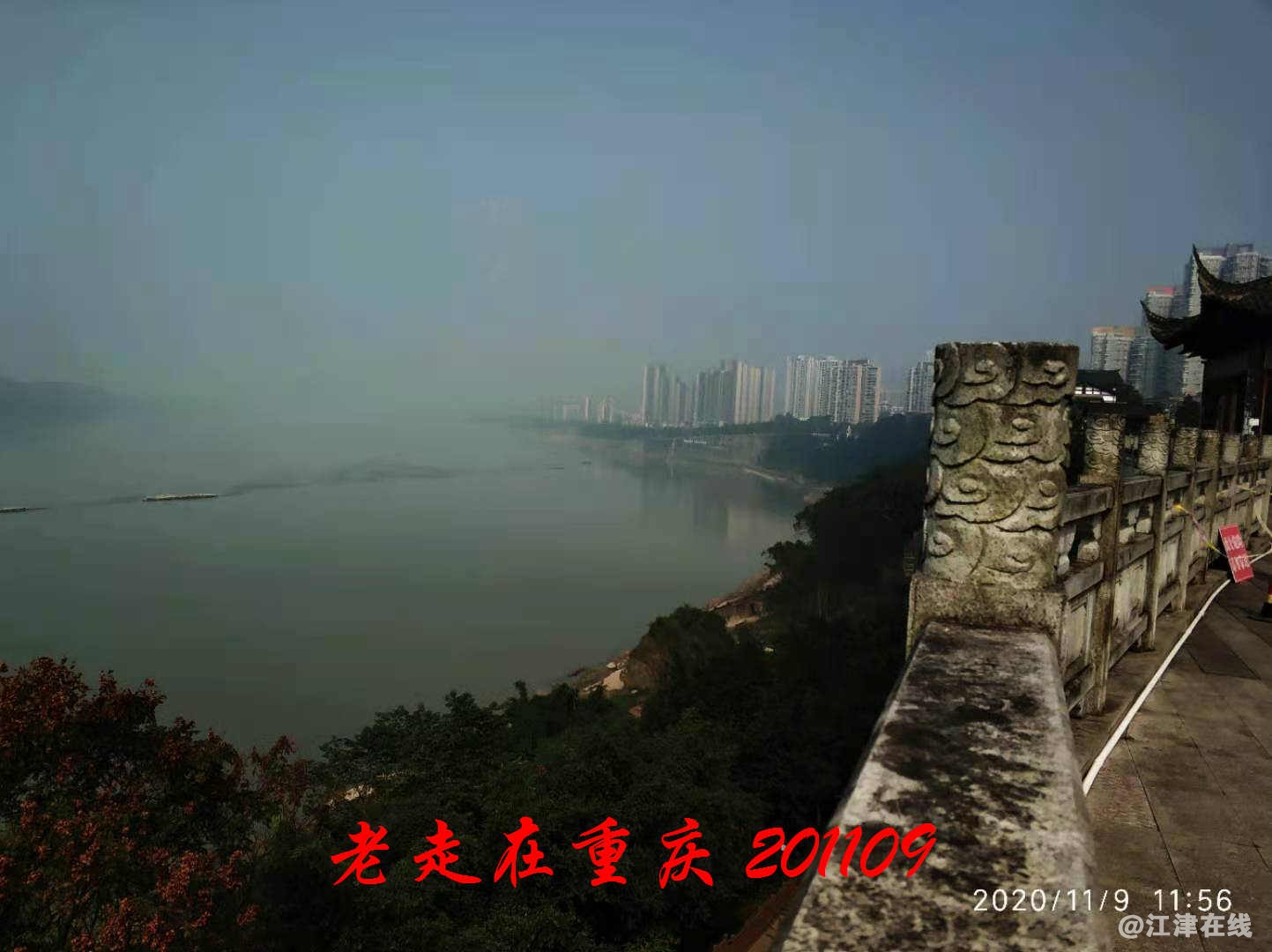 JYZ 20201109 WYB (102).jpg